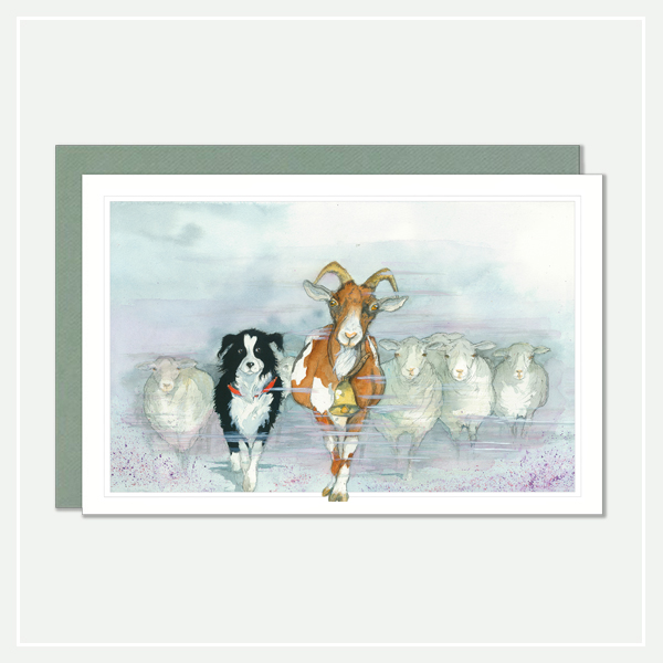 Kaart-postcard-geit bordercollie