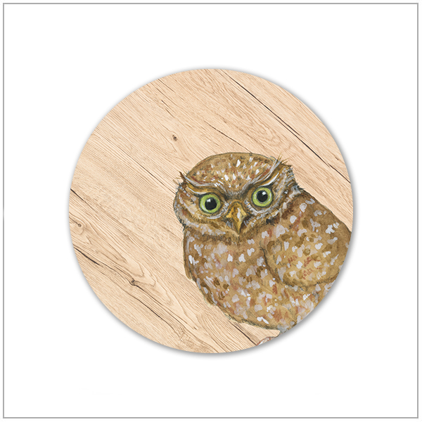 Onderzetter - steenuil