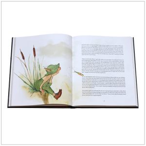 Binnenkant Sherberton boek